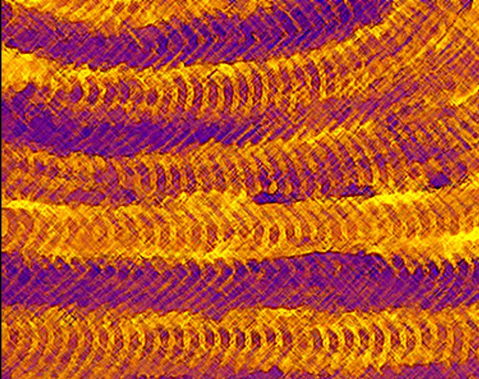 Can of Worms - Roy Weller